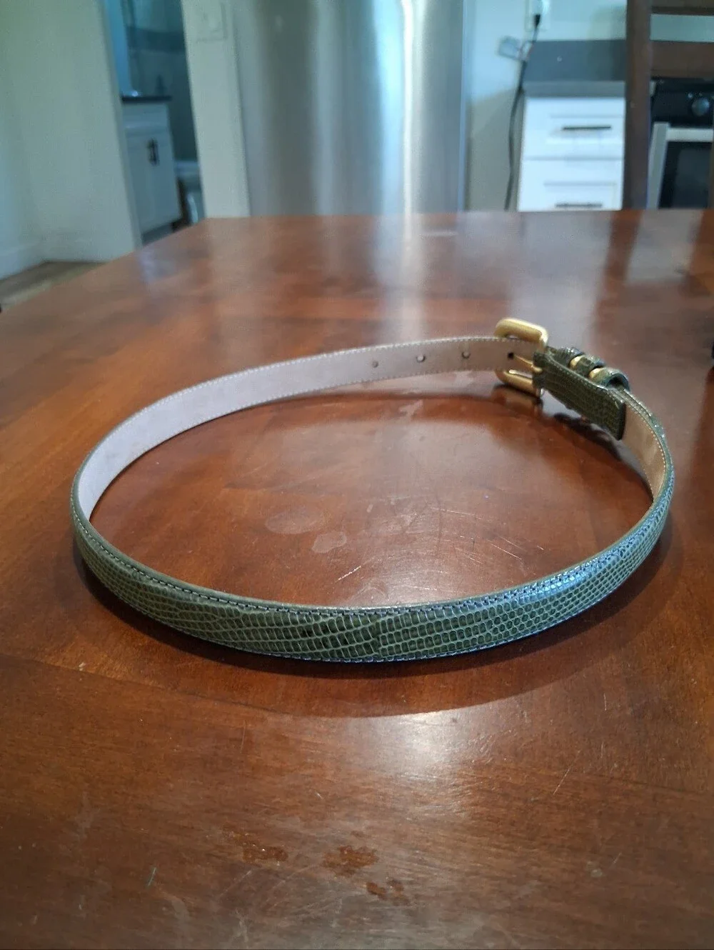 CARLISLE Lizard Belt 31